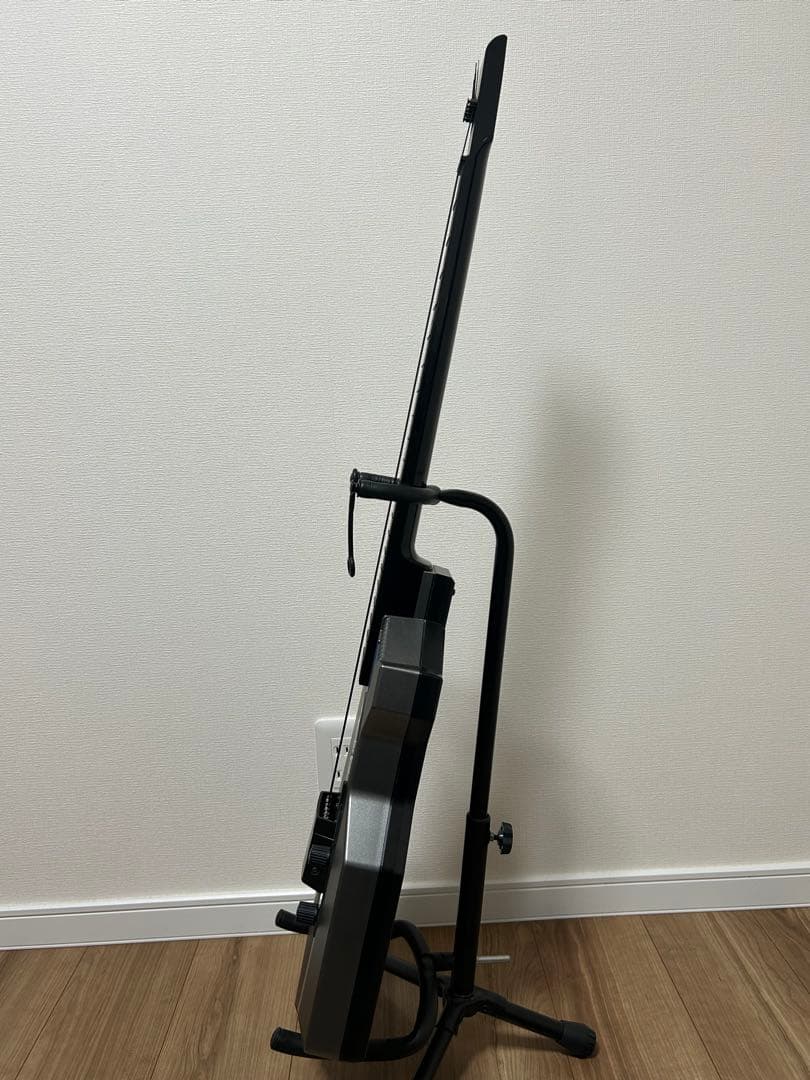 CASIO カシオ DG-20 デジタルギター　アダプター付き