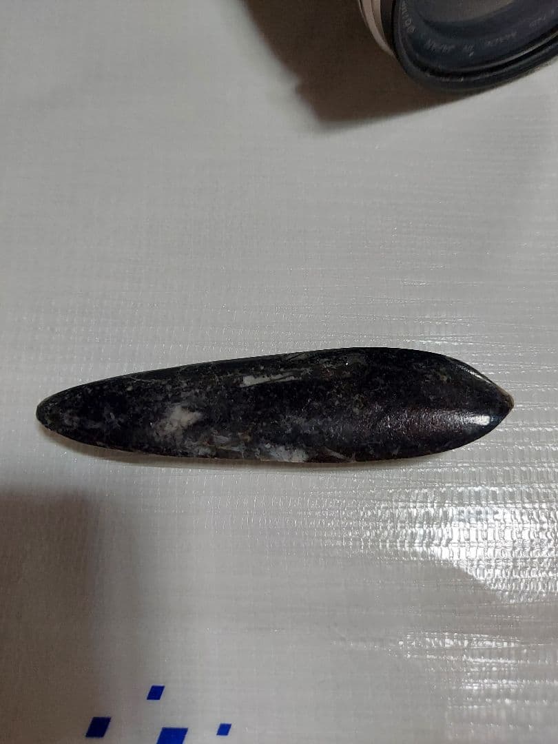 オルソセラスの化石