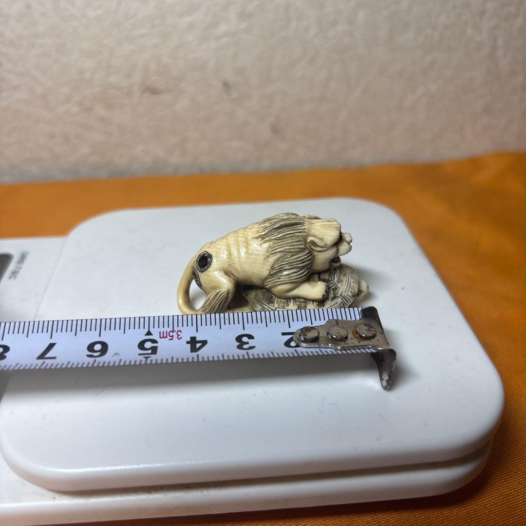 極上 獅子 亀 根付　20g