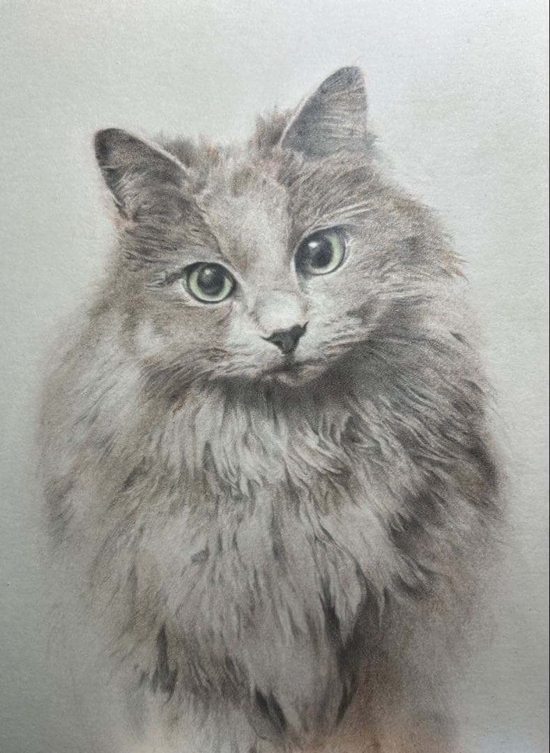 masa7716　猫猫　絵画