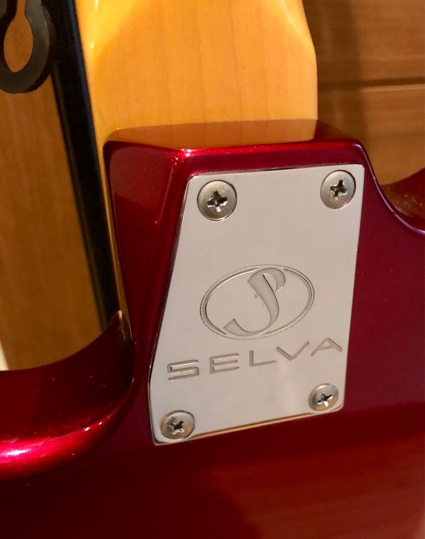 Selva ハイエンドストラト系　使えるモディファイ済