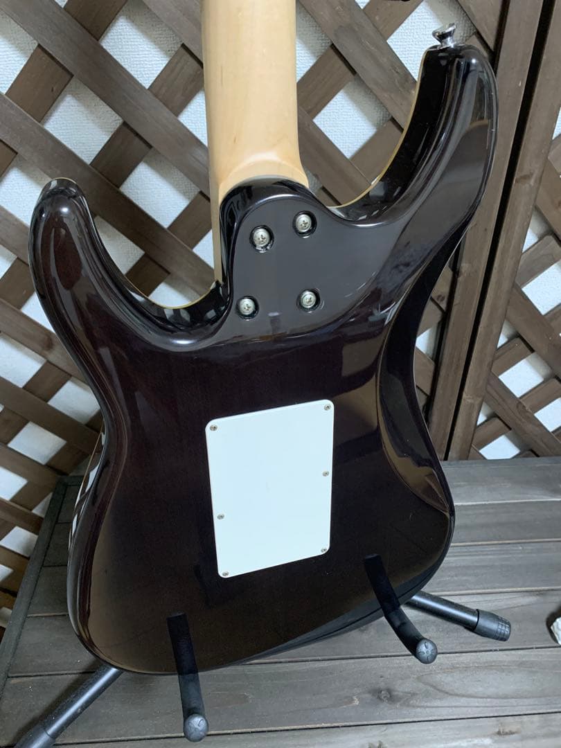 ギター Schecter SD-2-24 BW PUR/M