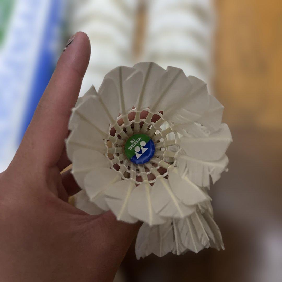 バトミントンラケット＆基礎程度のシャトル2筒