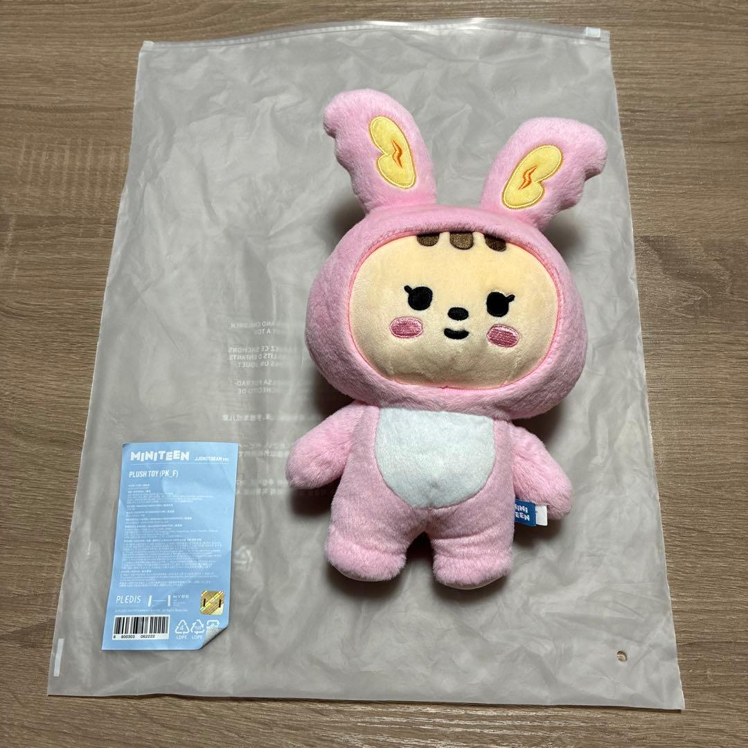 MINITEEN JUNGTAEK ぬいぐるみ