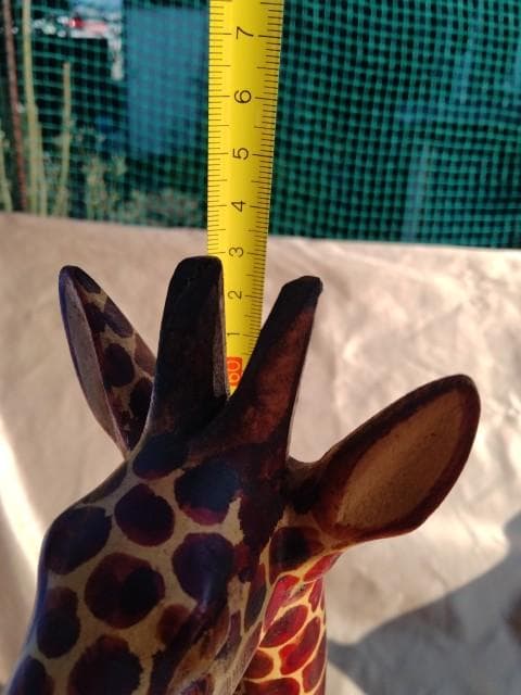 高身長　63cm　キリン　2頭　一刀彫　一つの木材　迫力
