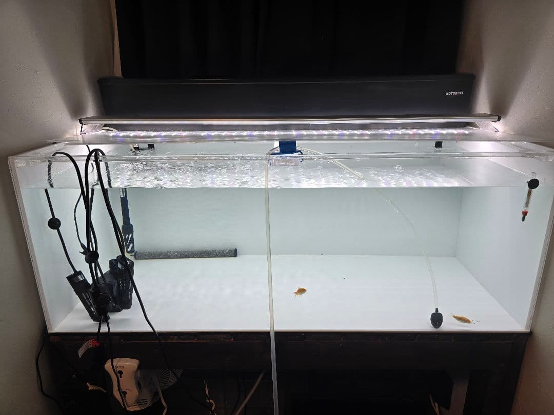 １２０cm水槽　引き取り限定