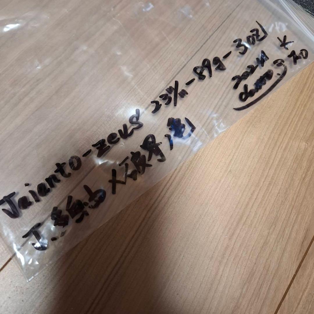 DOTTO3 ドットスリー ジャイアント ゼウス dotto3