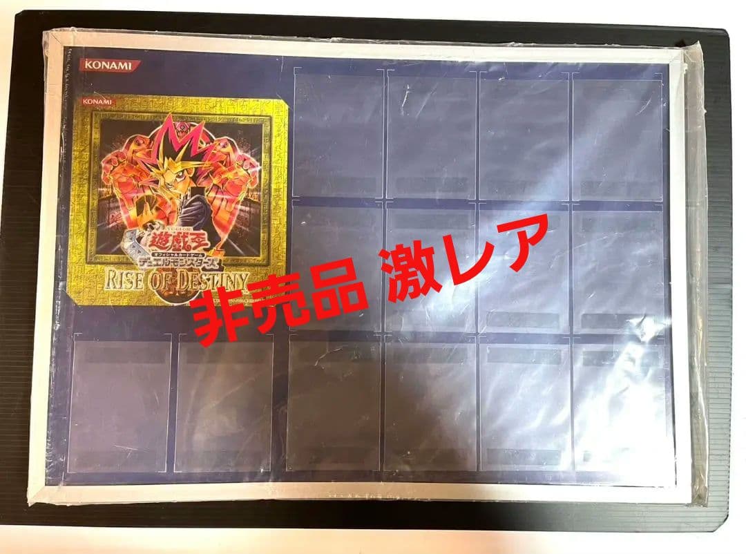 激レア 遊戯王 非売品 店頭用カード展示額縁 RDS 一部店舗限定舗販促物