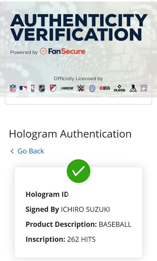 【証明あり】イチロー／直筆サインボール／262HITSインスクリプション