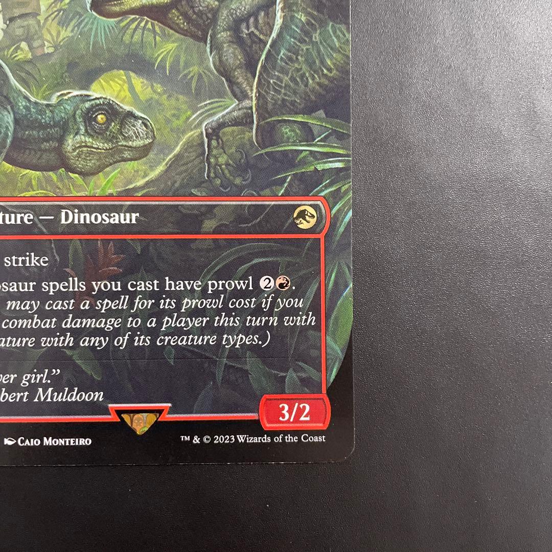 m860 004 ボーダーレス 狩りをするヴェロキラプトル REX