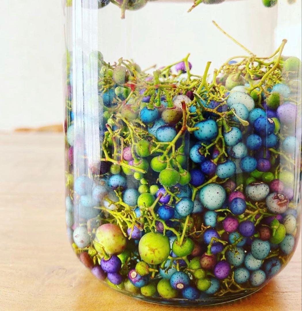 岩手県産 3kg250g×12袋 うまぶどう　冷凍クール便　薬膳　うまぶどう酒