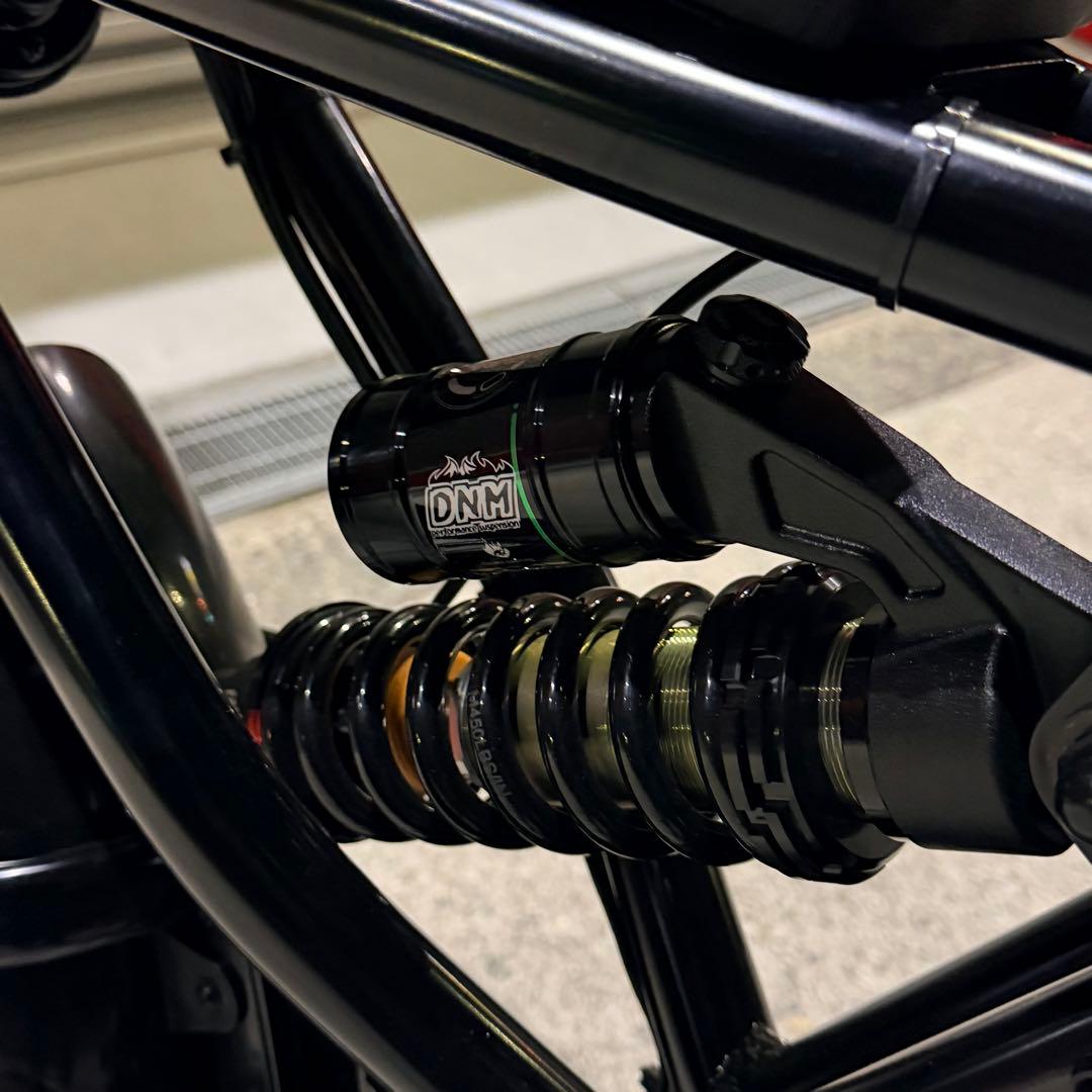 【カワウソ 】SUPER73 RX系統 LG48v20ah DNM