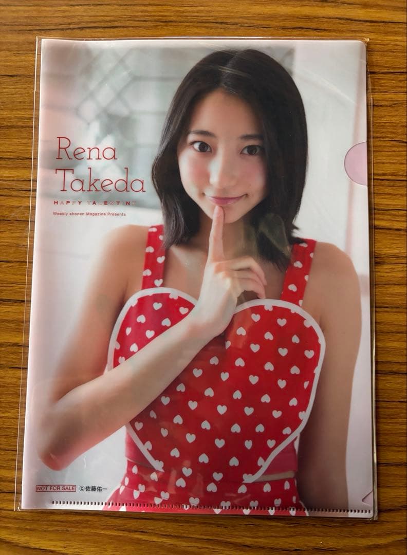 武田玲奈 クリアファイルセット