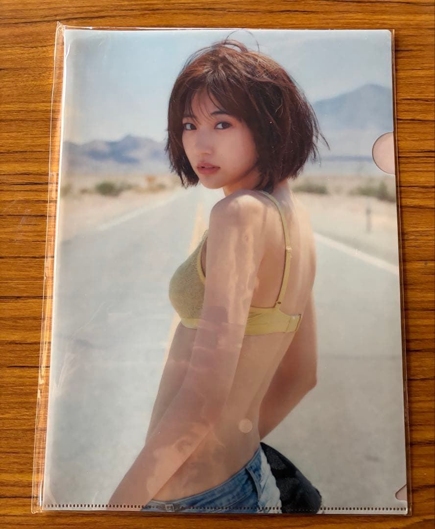 武田玲奈 クリアファイルセット