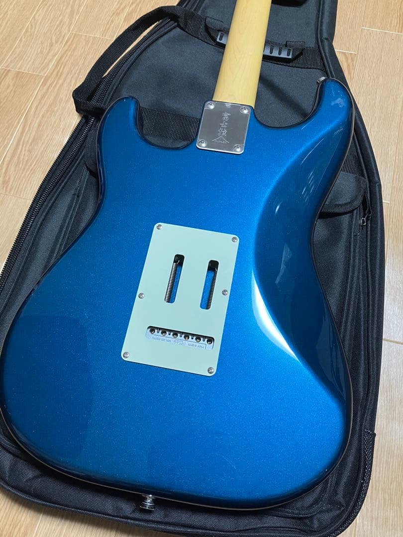 ギター FUJIGEN NST100 RAL OLP