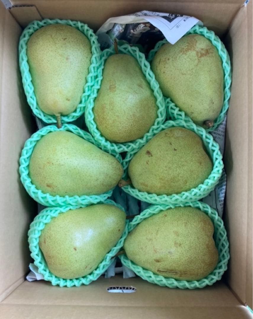 山形県産「マルゲリット・マリーラ」家庭用 10キロ箱✖︎二箱2