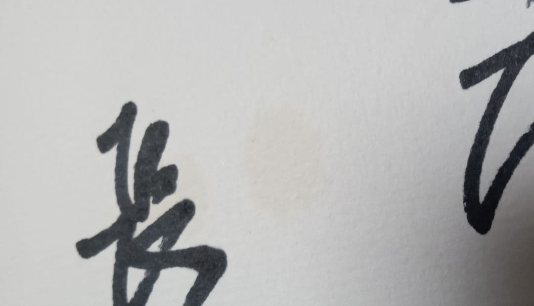 長嶋茂雄 直筆 色紙 サイン色紙