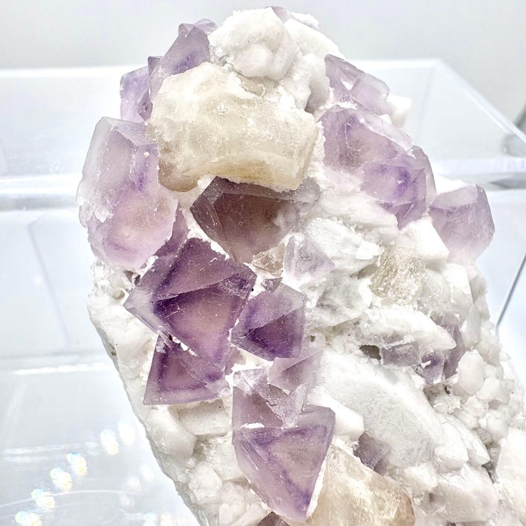 565 中国内モンゴル産　八面体フローライト&シェーライト