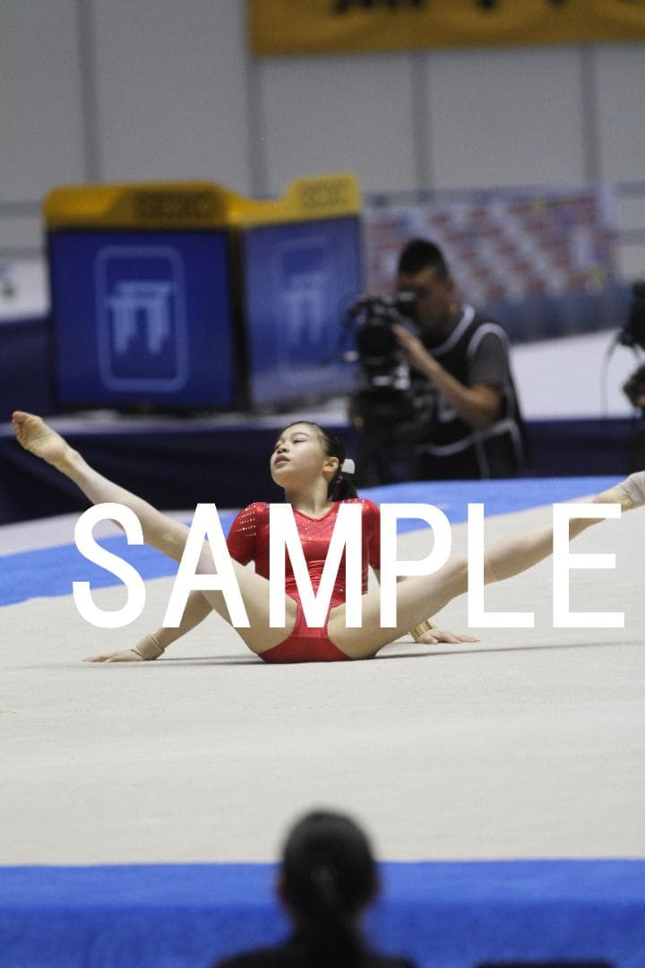 2016年全日本種目別体操 日本女子選手画像集①　約6,600枚