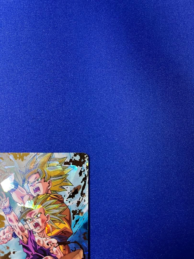 H2-16 孫悟飯:少年期 本家