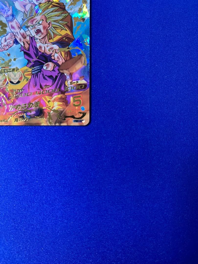 H2-16 孫悟飯:少年期 本家