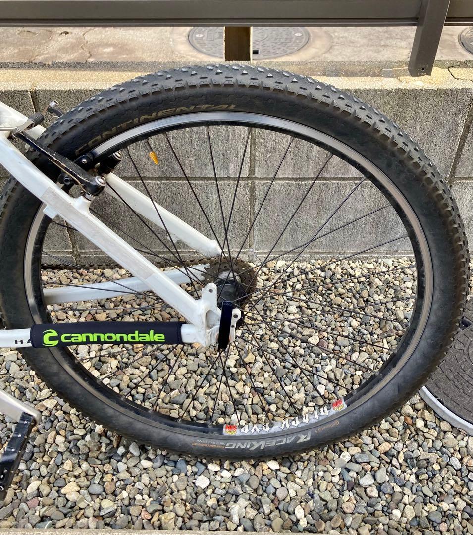 レアUSA製　キャノンデール　F300 Mサイズ　bluelug ブルーラグ