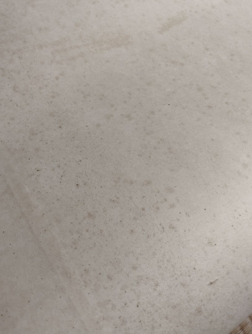 虎の掛け軸 龍山