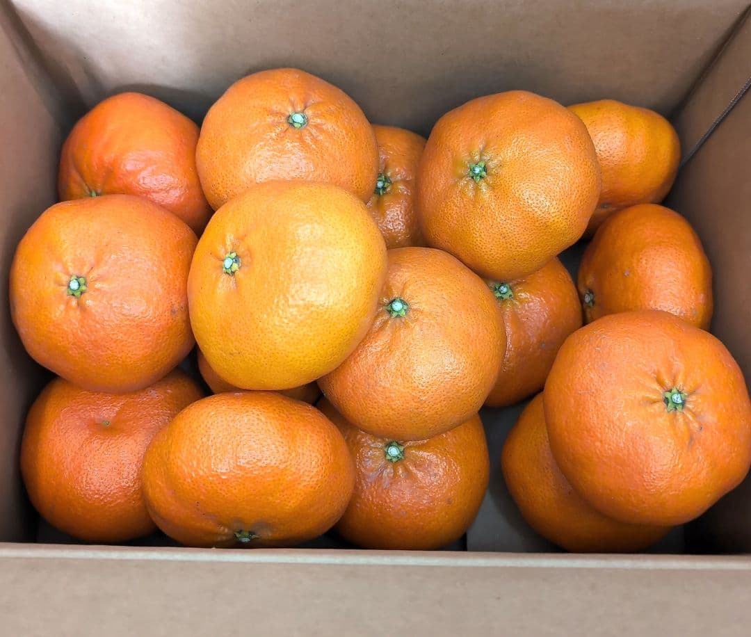 愛媛県産甘平みかん4Lサイズ 約5kg