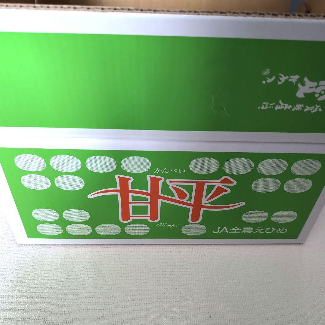 愛媛県産甘平みかん4Lサイズ 約5kg