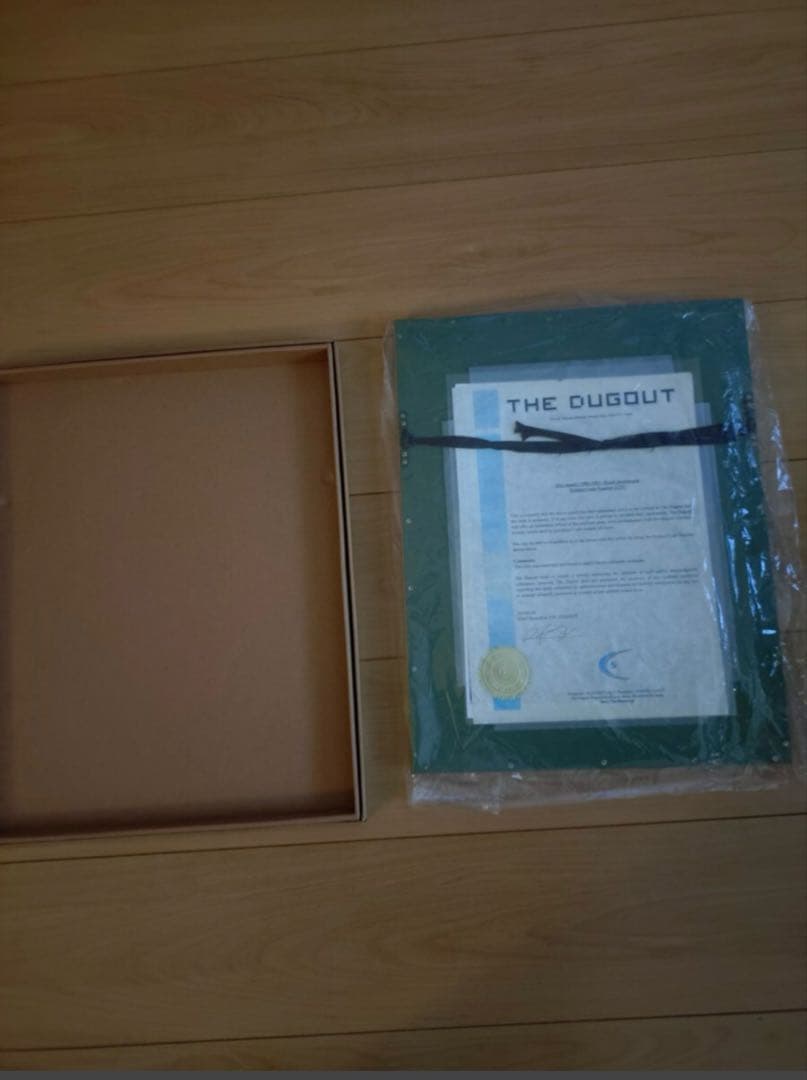 ダグアウト社 ジーコ 直筆サイン入り写真 ブラジル代表 証明書付 額