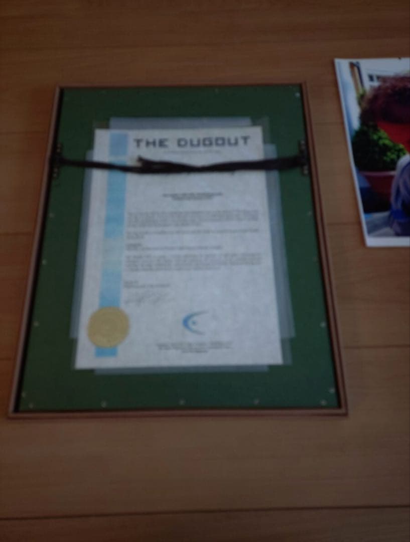 ダグアウト社 ジーコ 直筆サイン入り写真 ブラジル代表 証明書付 額