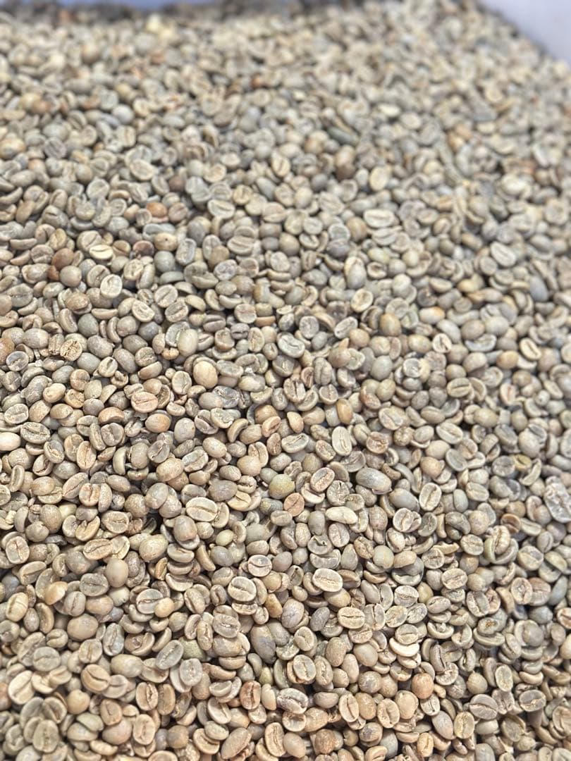 【コーヒー生豆】1.5kg/４種合計6kg ※送料無料