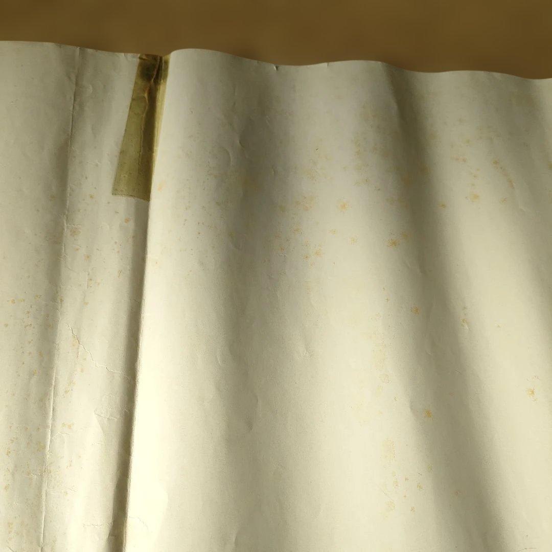 映画「ブラザーサン・シスタームーン」イタリア本国オリジナルポスター