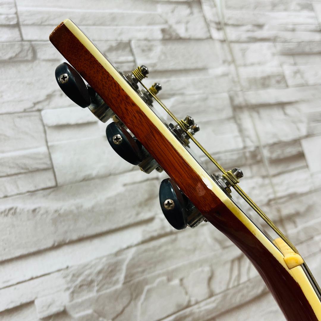 Elioth エリオス B305NA アコースティックギター