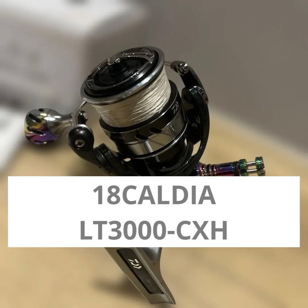 Daiwa 18CALDIA LT3000-CXH リール　ダイワ　カルディア