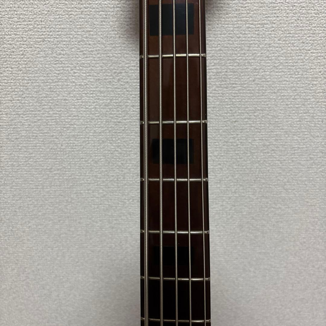 Sire Marcus Miller V5 【5弦ベース】