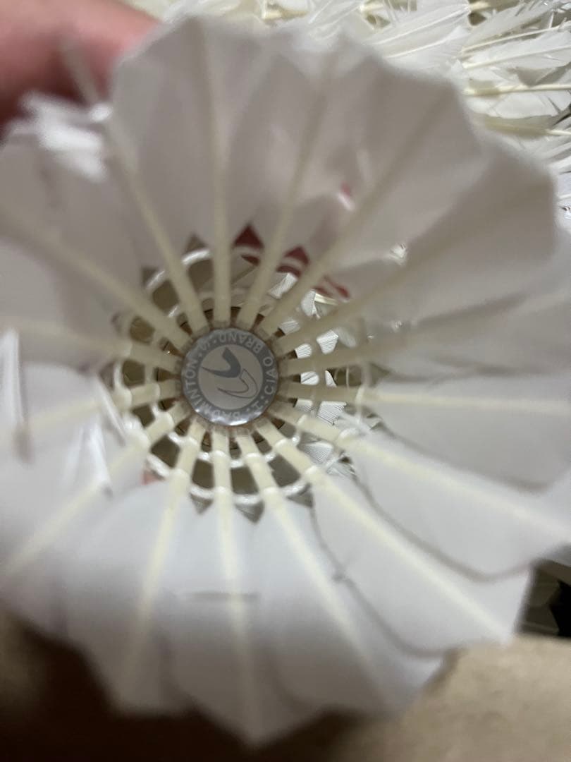 バドミントン中古シャトル240球