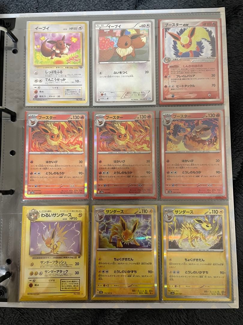 ポケモンカード　引退品　ブイズのみ　ファイル付き