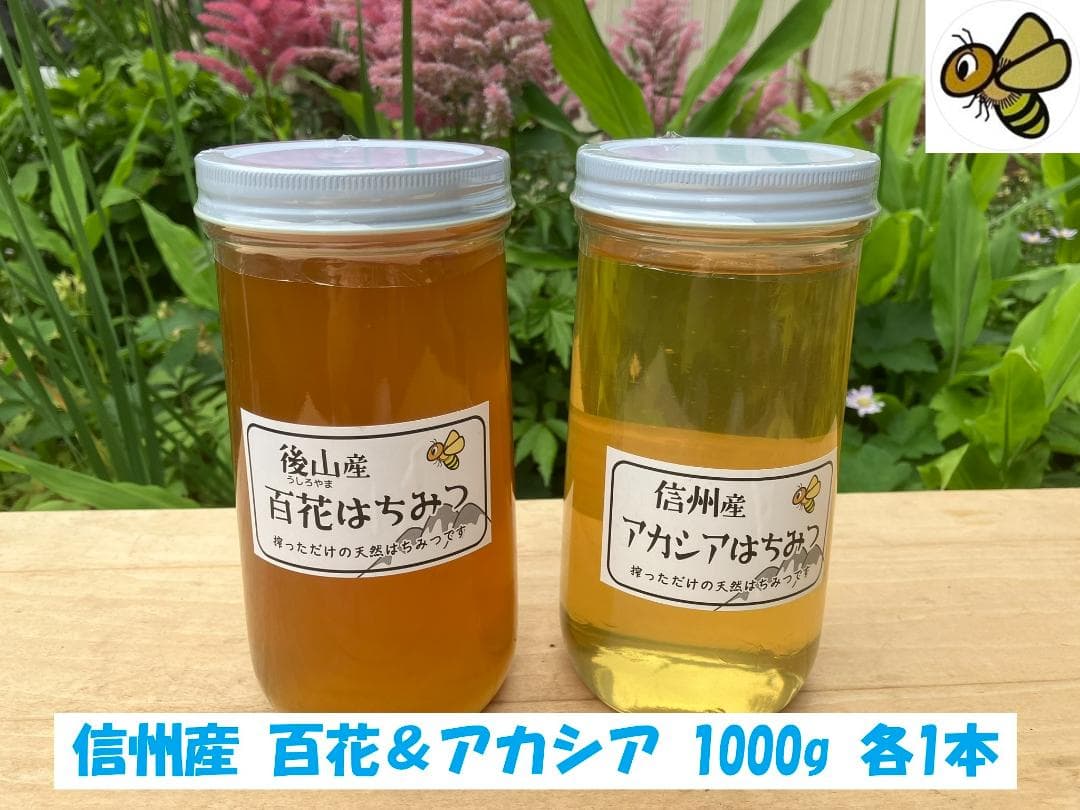 【再】アカシア 百花 1000g 各１本 長野県産 国産蜂蜜 生蜂蜜 西洋蜜蜂z