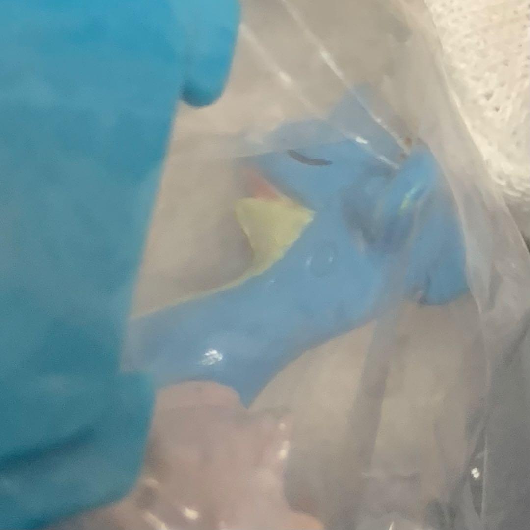 《激レア未開封品！！》⭐︎ポケモン フルカラーコレクション 目つむりラプラス♪⭐︎