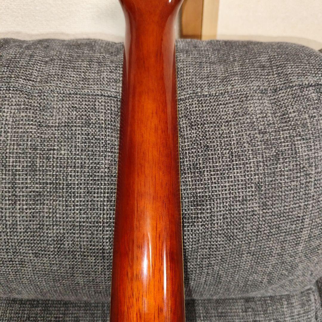 エレアコ Legend Powerd by ARIA LJ-15EN