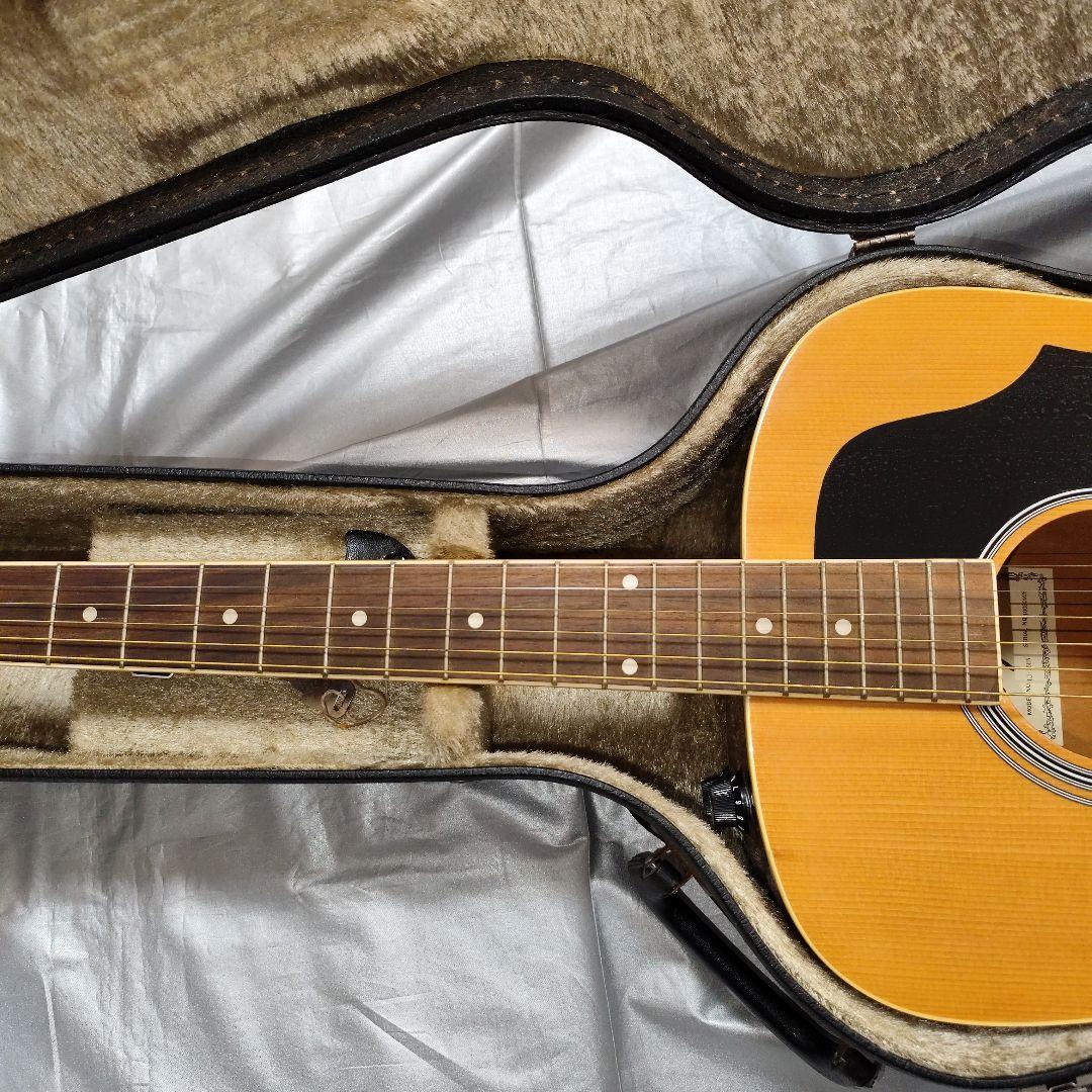 エレアコ Legend Powerd by ARIA LJ-15EN