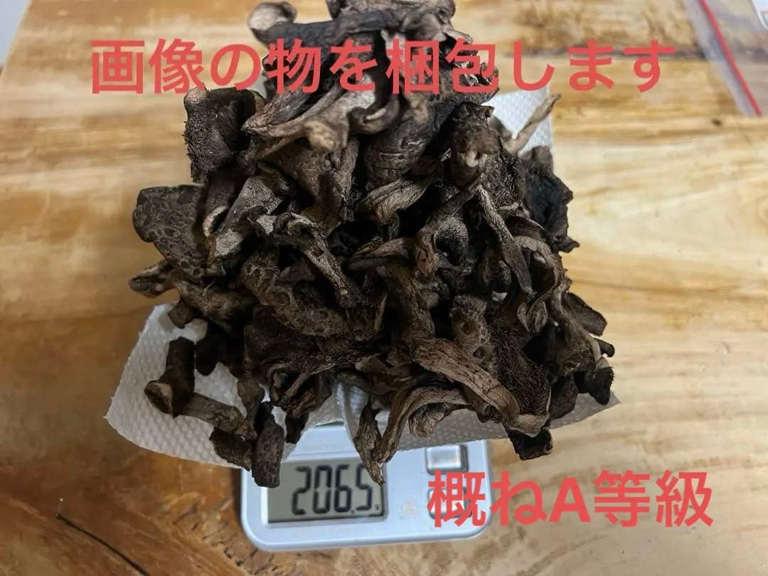 香茸　乾燥　200g以上　概ねA等級