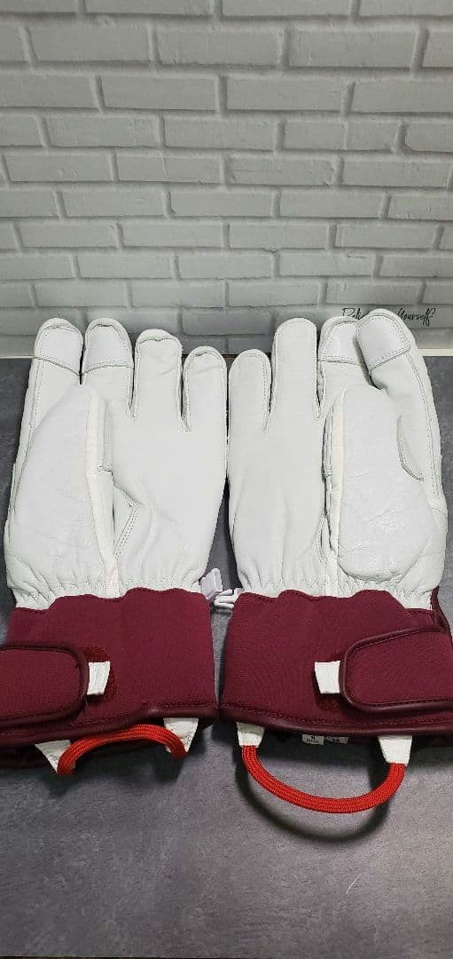 PHENIX フェニックス スキーグローブ