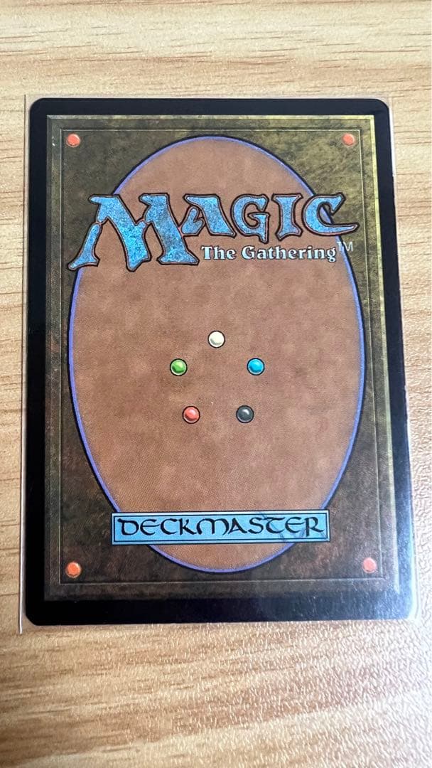 MTG《タールルームの勇士ターンガース》日本語版 Foil 絵違いVer 1枚