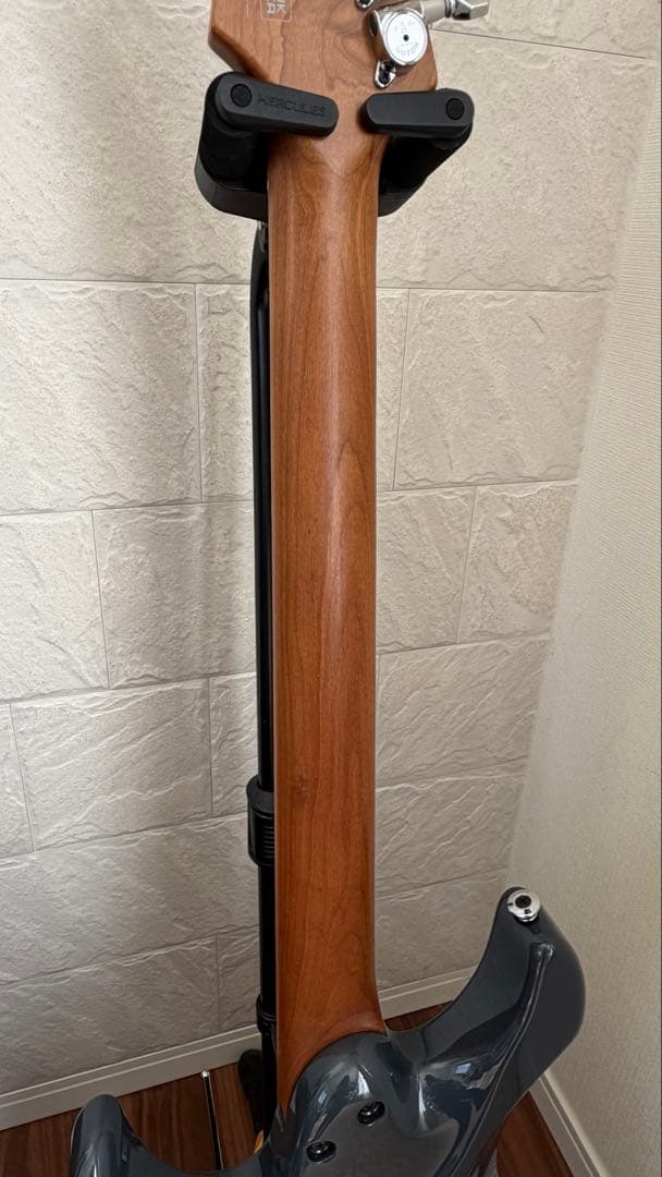 Ibanez AZ2402 2024年12月購入