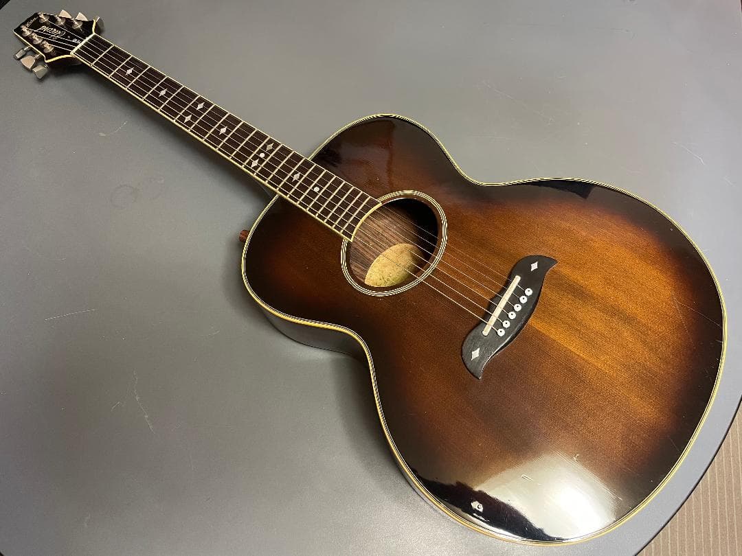 Aria Elecord FE-60 エレアコ