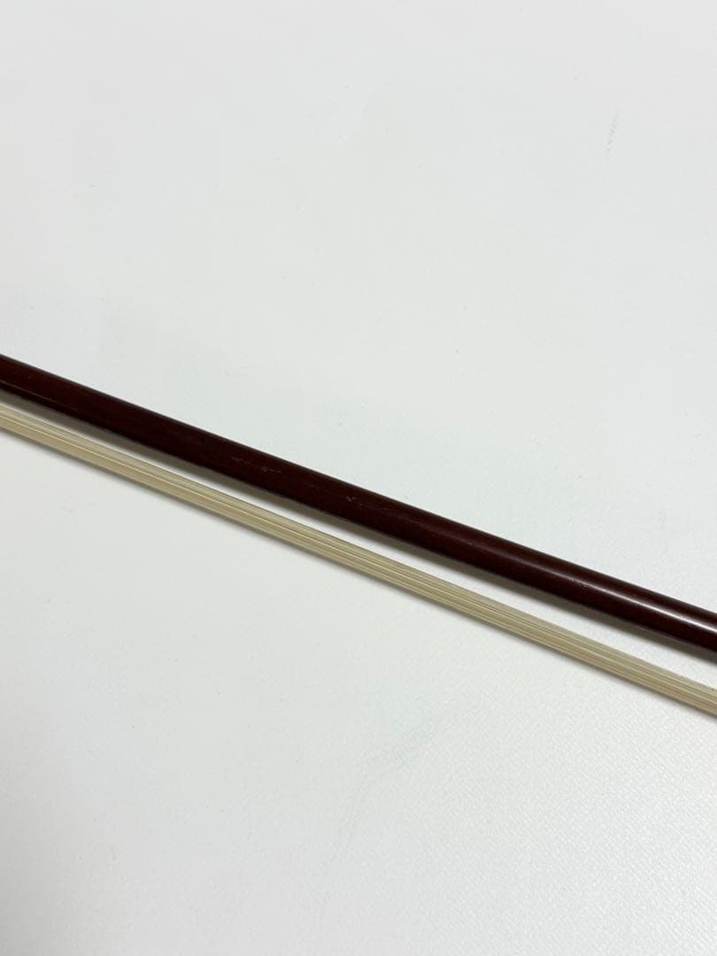 Carlo Giordano VS-1 1/2 バイオリン 入門セット 2021