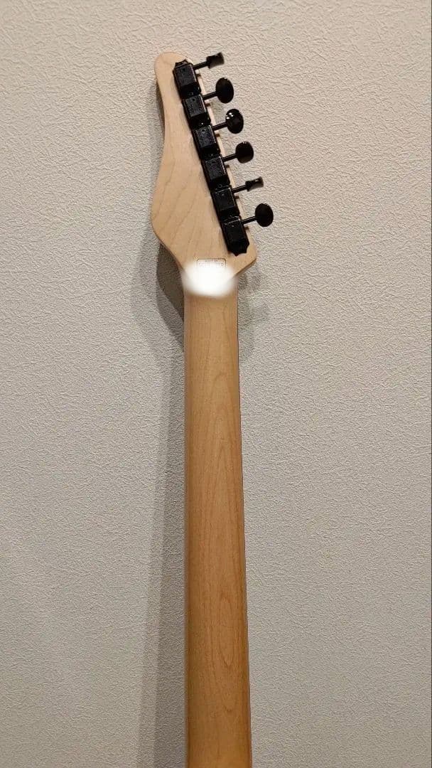 ギター SCHECTER PS-PT-P90/RNT/R