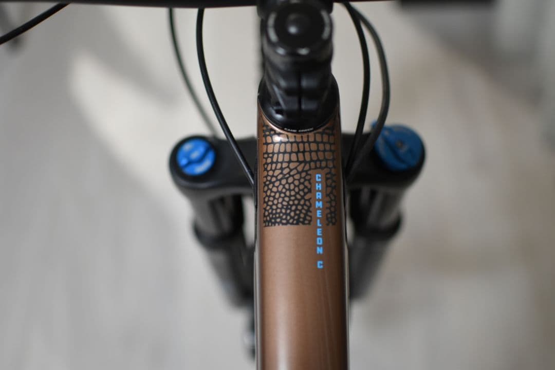 【関東 手渡し 送料込み】SANTACRUZ CHAMELEON CARBON